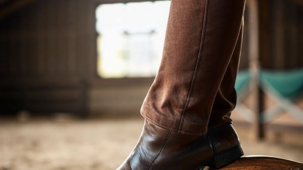 Top womens equestrian breeches for ultimate comfort